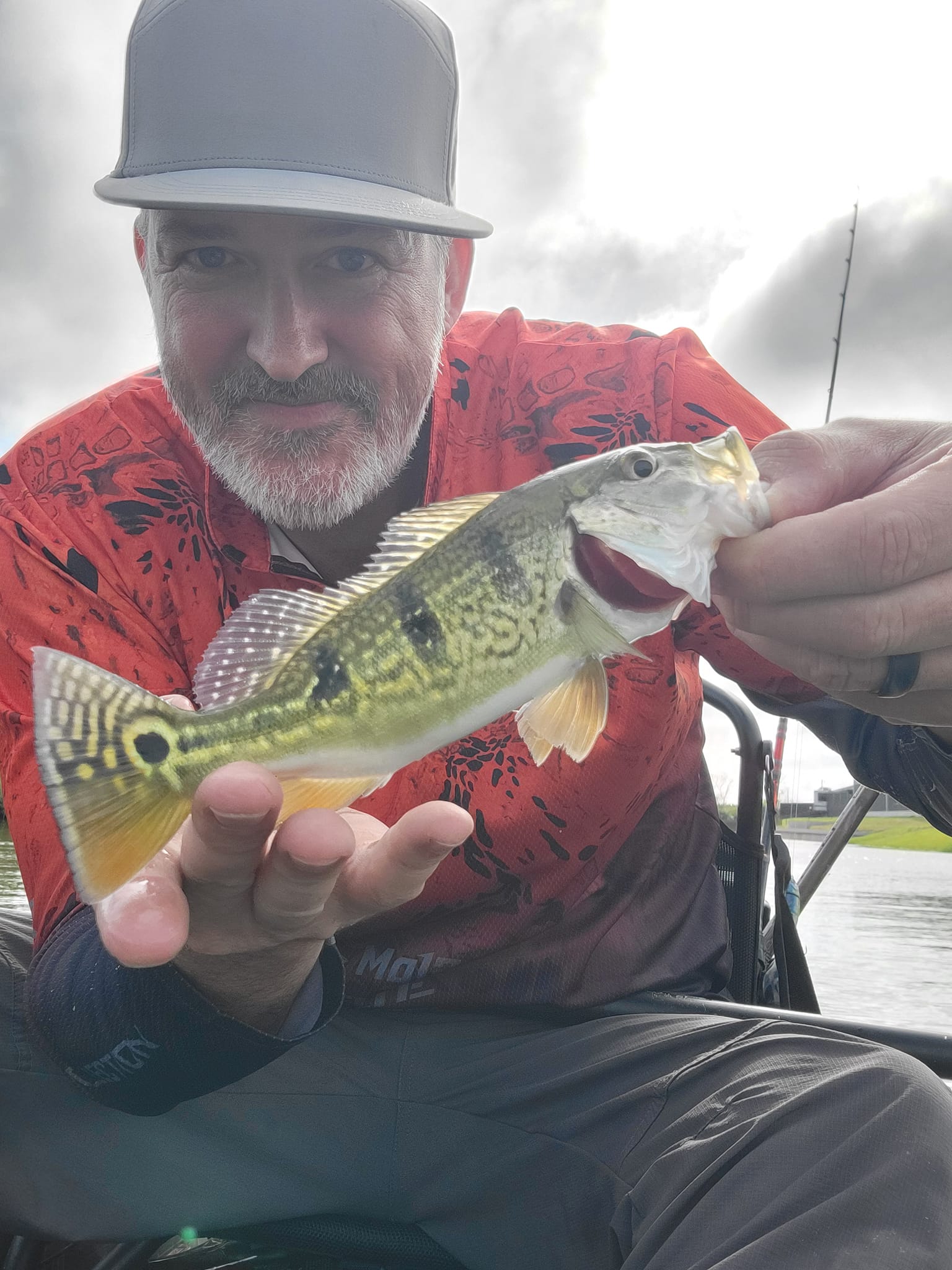 Big Gators, Kayaks, and Small Peacock Bass.