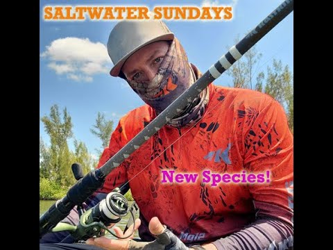 Saltwa”Saltwater Sunday: New PB Hunt, New Species Caught, and Kayak Adventures!”Saltwa